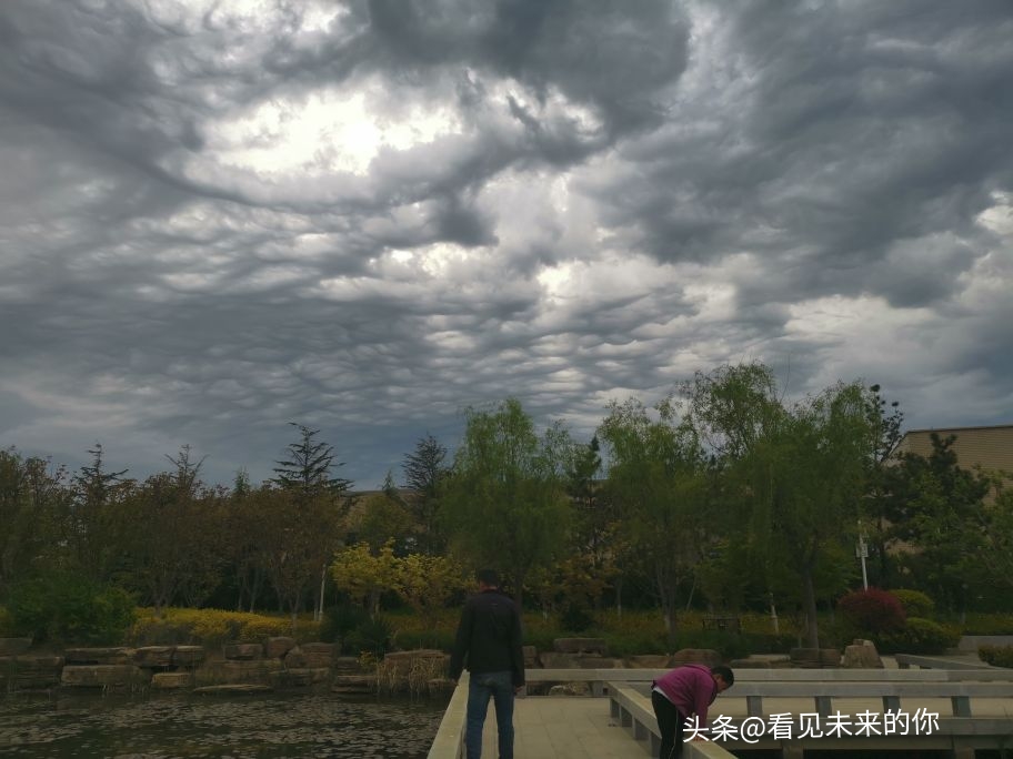 烟台开发区福莱山公园最新消息,烟台开发区福莱山公园喷泉时间