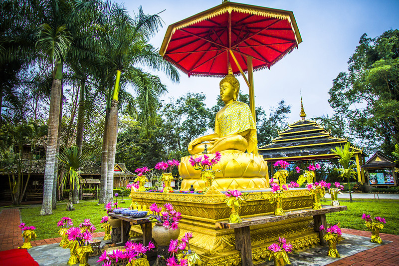 到西双版纳过大年，六日出行超详细吃，住，行攻略