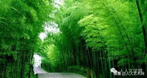 人人图文,人人贷最新事件进展