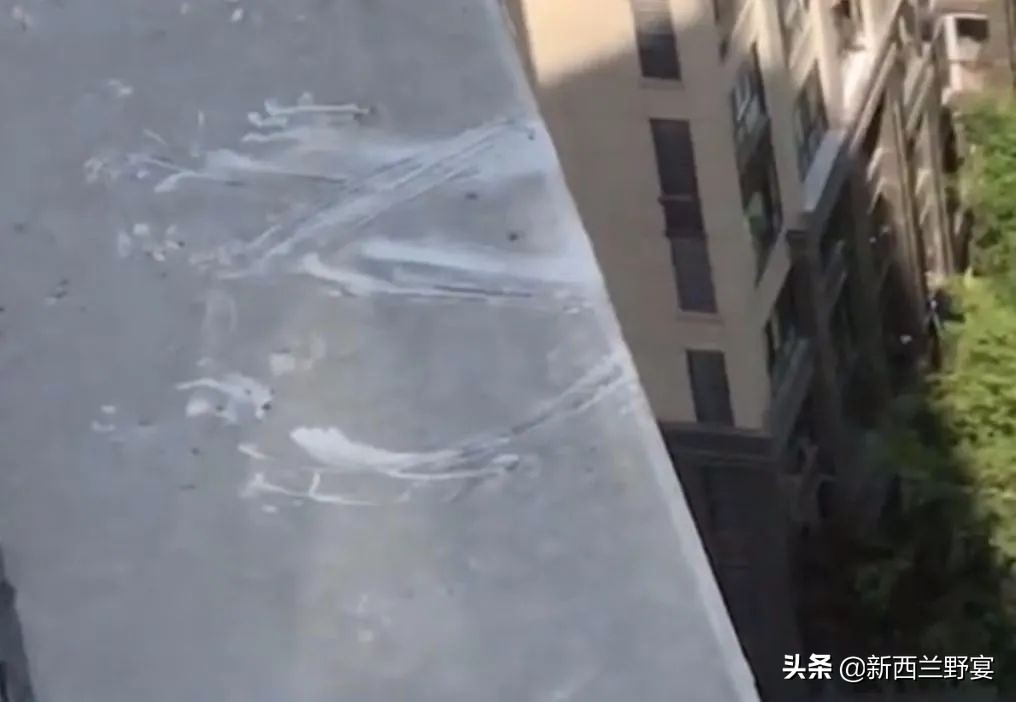 新手养猫解读猫咪8种迷惑行为,养猫一定要牢记七不要对猫咪有益