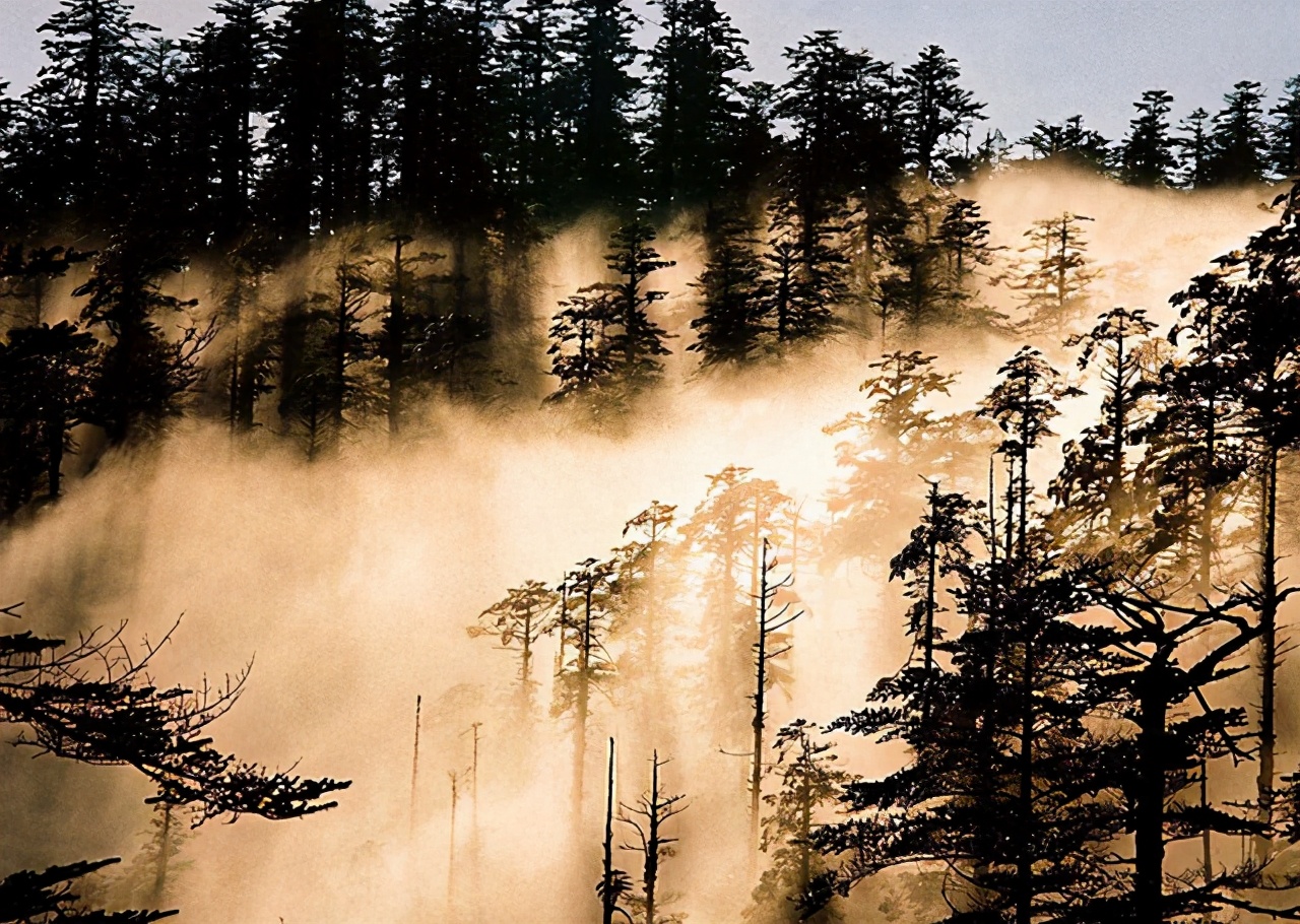 全球公认的四大生命禁区,世界上最可怕的五大生命禁区