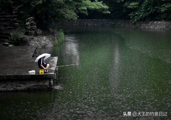 下雨天是不是很好钓鱼,下雨天好钓鱼