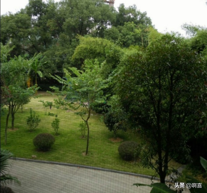 桂林风景区一日游景点大全,桂林国家森林公园游玩攻略路线