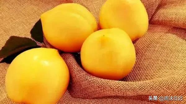 黄油桃，全身无毛，个大饱满，来自山东蒙自，一个根本不过瘾