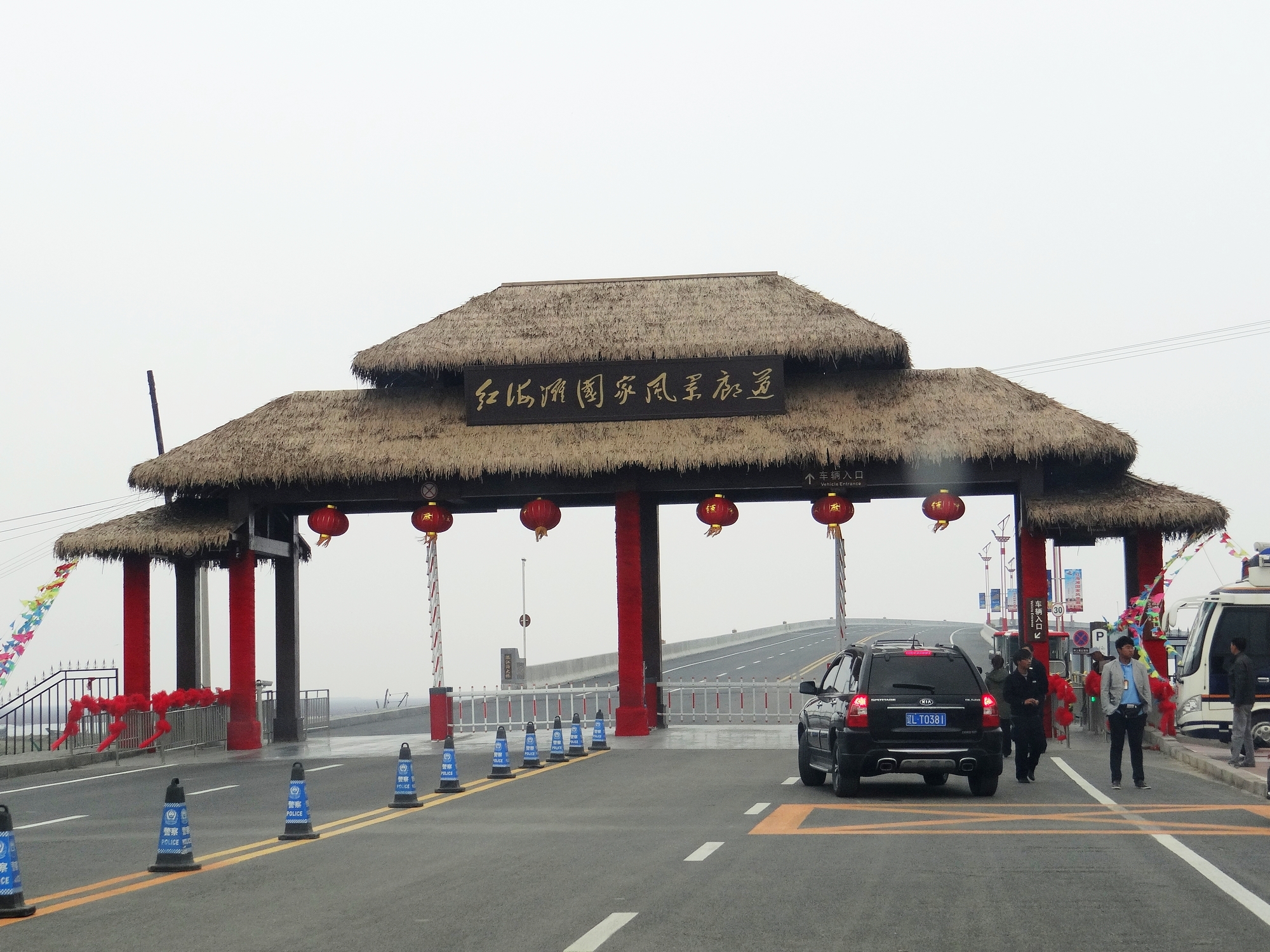 盘锦红海滩碱蓬草,神奇的碱蓬草