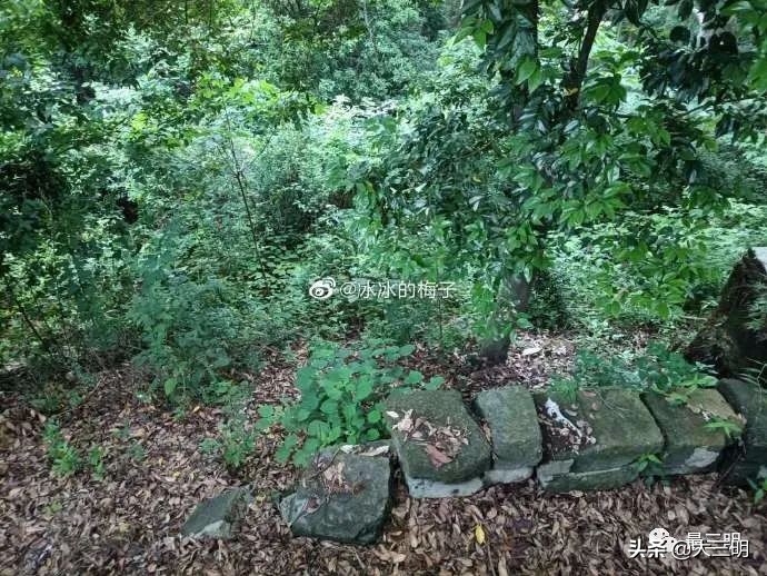 三明麒麟山公园鸟瞰,麒麟山公园三明门票