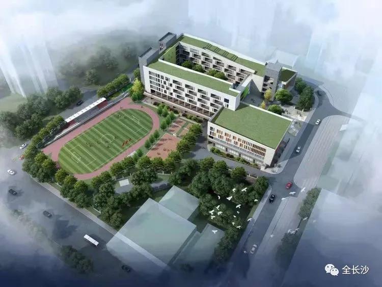 升学班优势,长沙博才集团小学排名