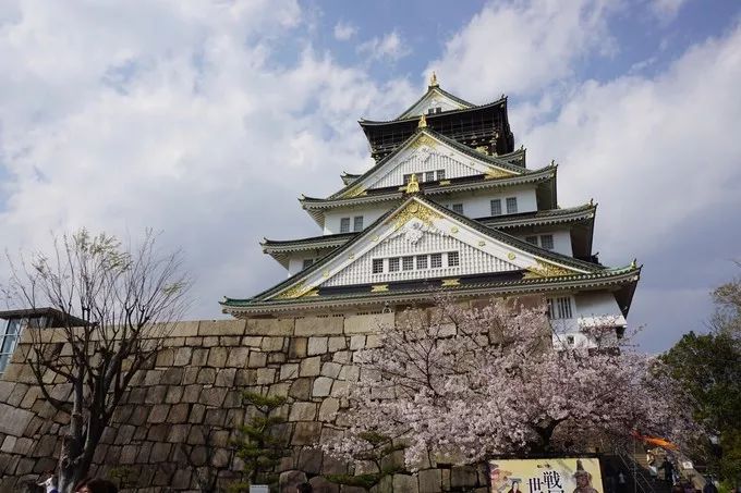 日本的樱花又开了哦,日本樱花又开了是什么梗