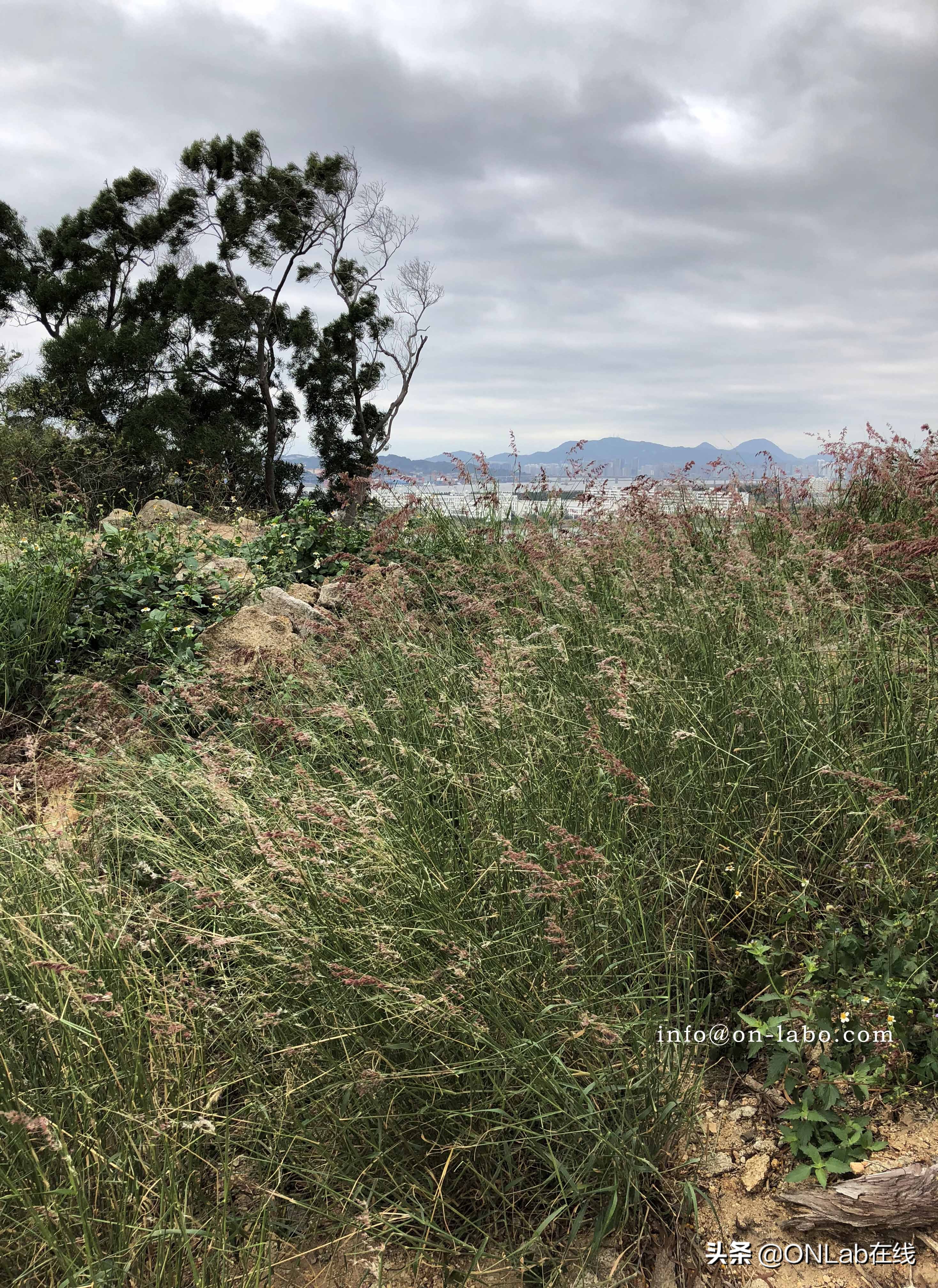 泉州惠安百崎回族乡,漳州郭坑镇与惠安百崎回族乡