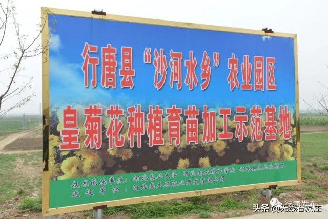 灵寿县特色农业乡村振兴,行唐农业种植