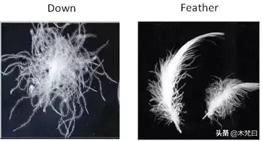 羽绒服谁都有，“懂买”羽绒服没几个，怎么选才能既保暖又时髦