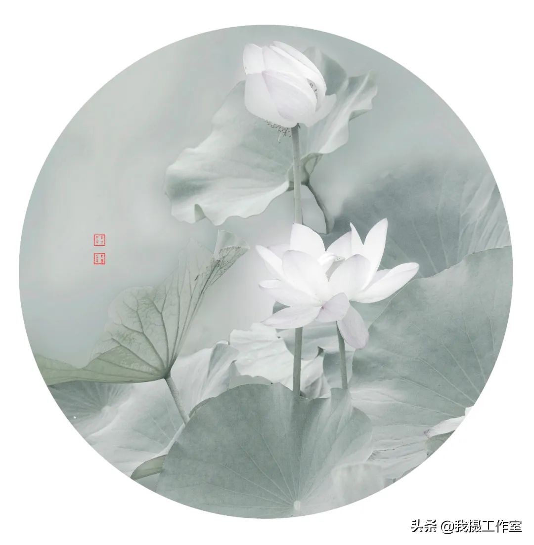 第16届国际摄影艺术展获奖作品,第29届全国摄影艺术展览作品集