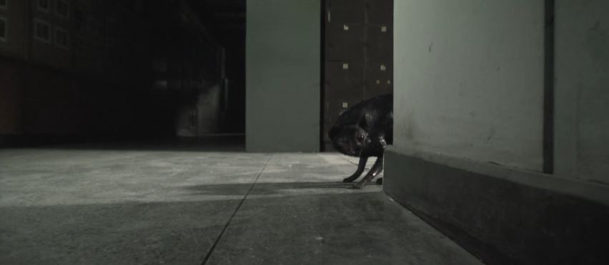 泰国十大恐怖电影解说,泰国十大降头恐怖电影