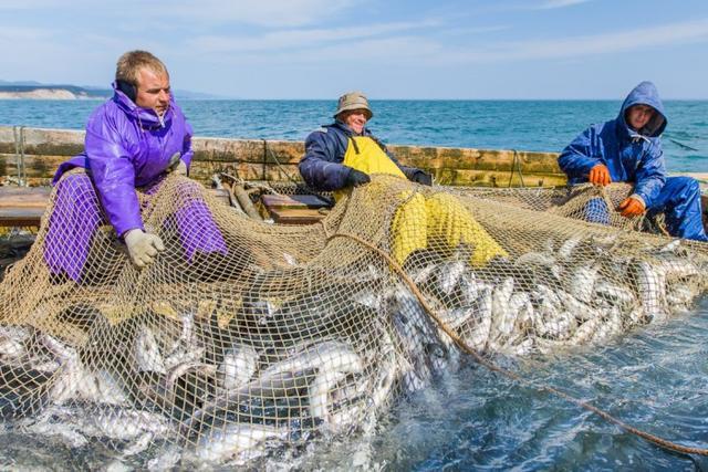 俄向中国空运大量现钞后，事情有进展，一些国际倒爷或正闷声发财