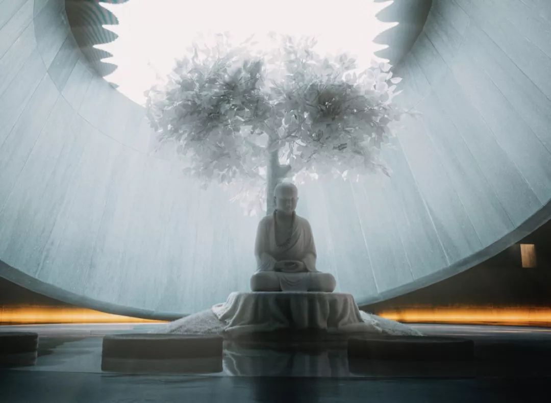 生活在南京的真实感受,南京适合生活嘛