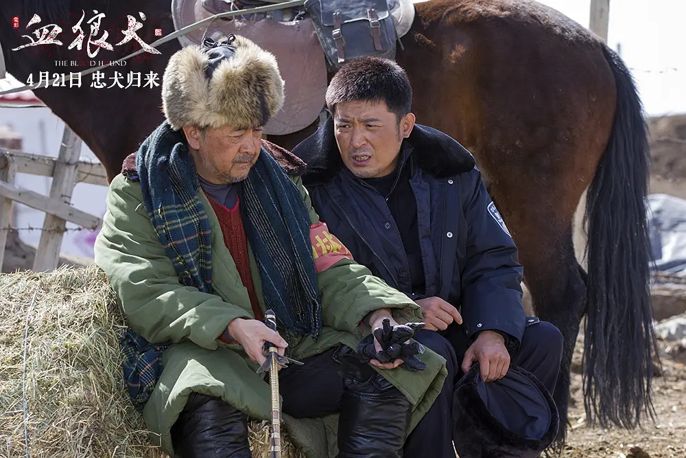 血狼犬电影有意思吗,血狼犬超清