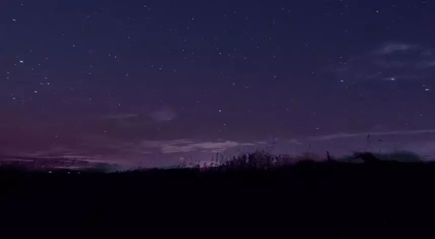 仙人掌在沙漠里是怎么生存下来的,在沙漠怎么才能活下来
