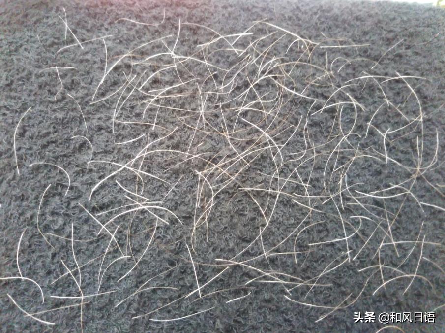 日本拔白头发的店,日本拔白头发神器正品货