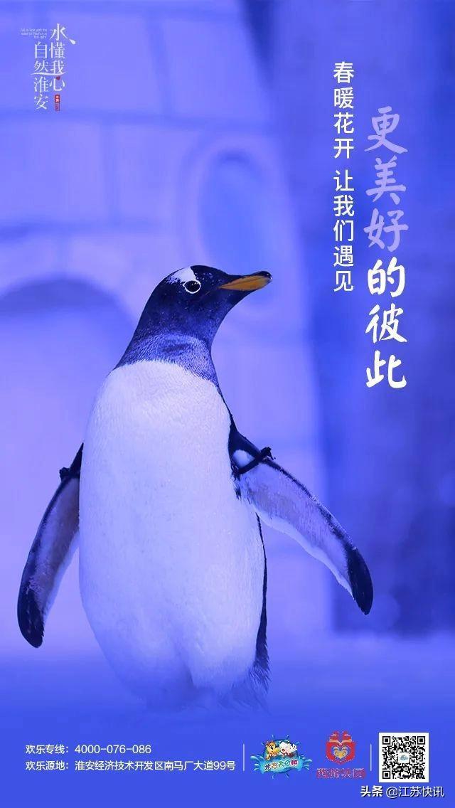 龙宫大白鲸什么时候开业,龙宫大白鲸今天夜场开放时间