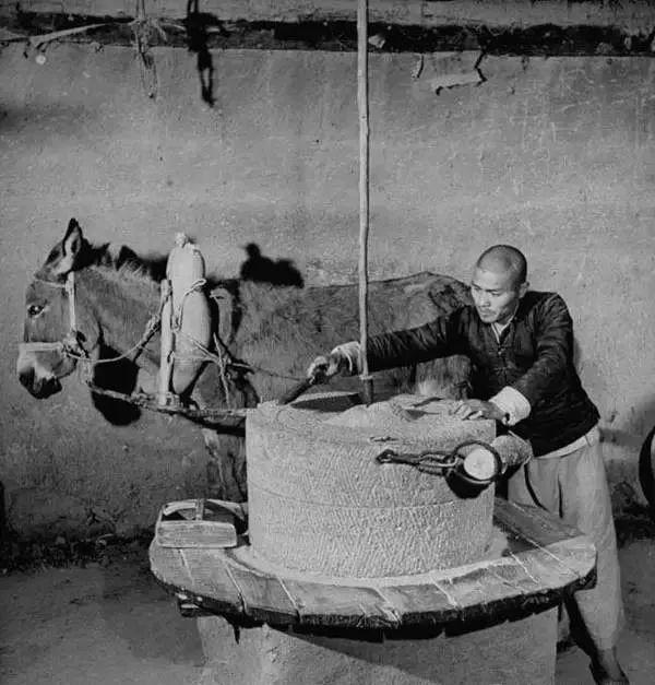 民以食为天挨饿的滋味,民以食为天民间故事