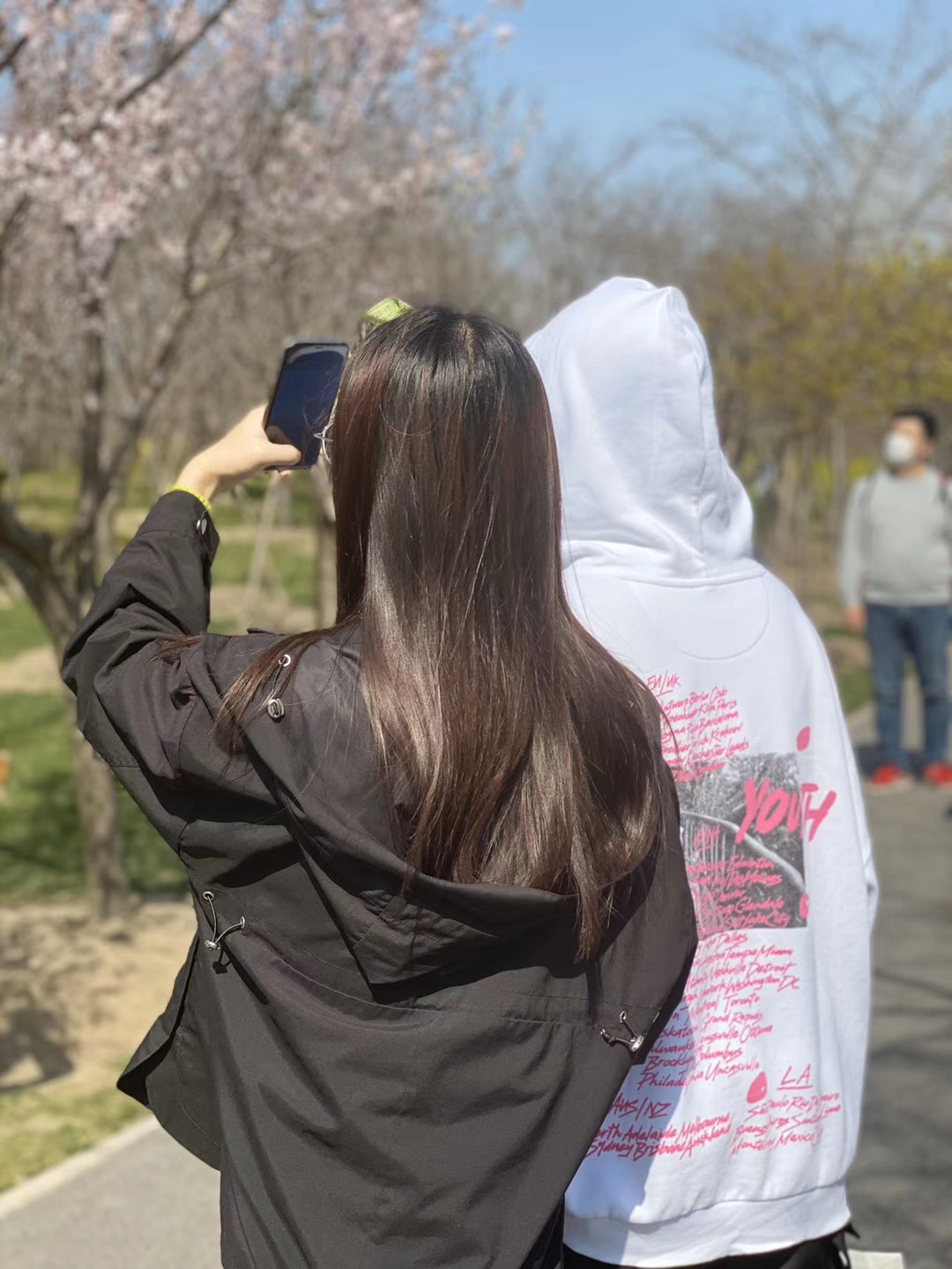 春天必打卡的樱花胜地顾村公园,顾村公园樱花照片视频