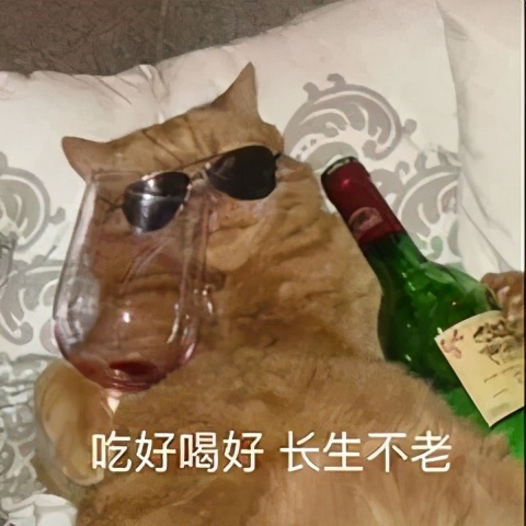 快乐肥宅水到底是什么,快乐肥宅水真的能喝吗