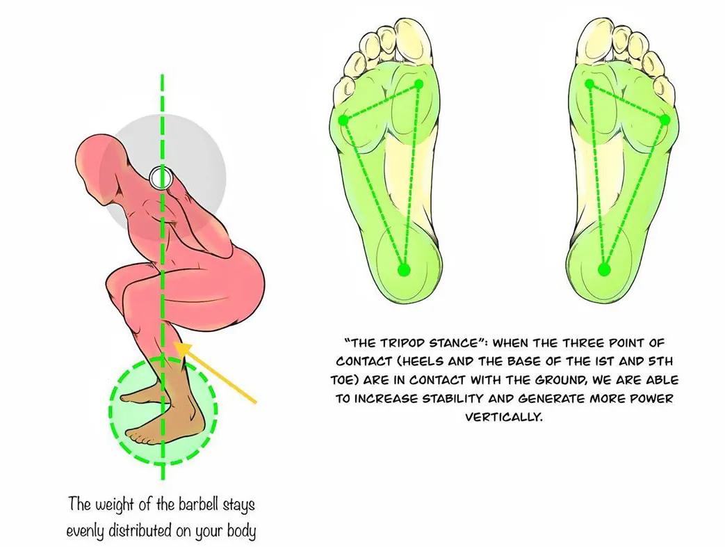 男女深蹲次数多少合适,练习深蹲一个月有什么效果
