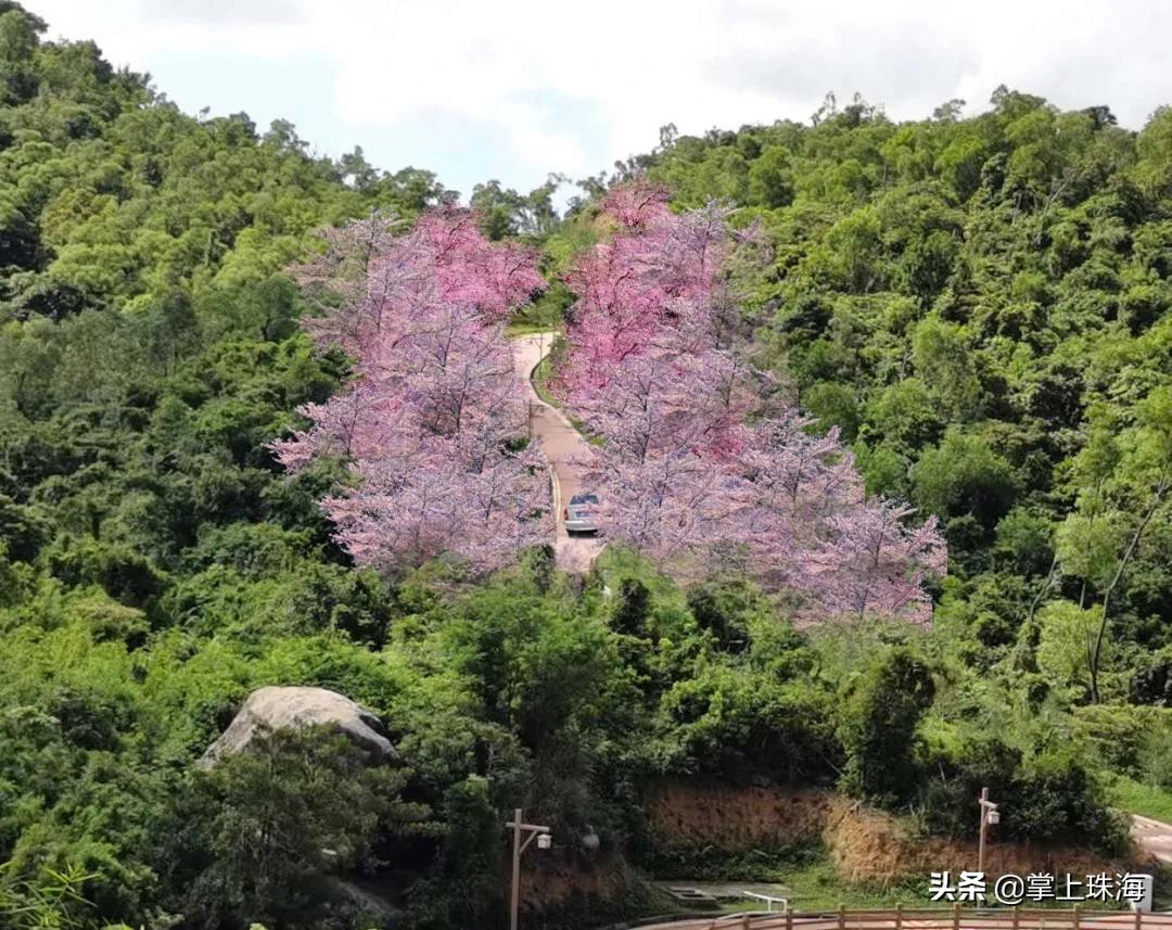 珠海春节游玩的地方有哪些,春节珠海旅游最佳攻略