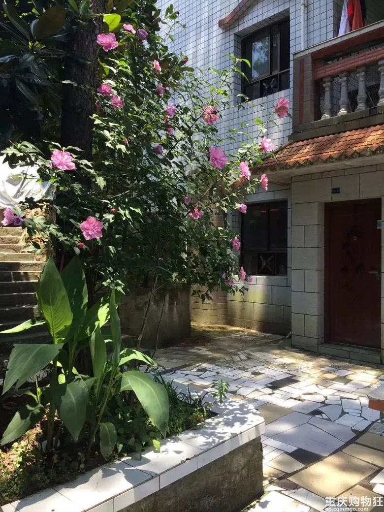 我用10年时间把重庆避暑地和避暑方式体验了个遍，优缺点全在这