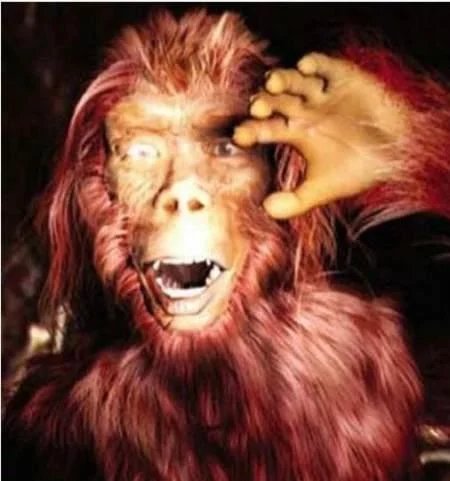 十大未知生物录像,地球十大巨型未知生物