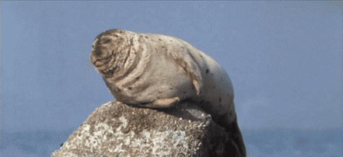 女朋友让我“吃屁”说是为我身体好？我好像没法反驳她怎么办，急，在线等！