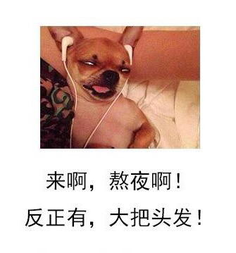 表情包你要哄我,表情包你要对我负责