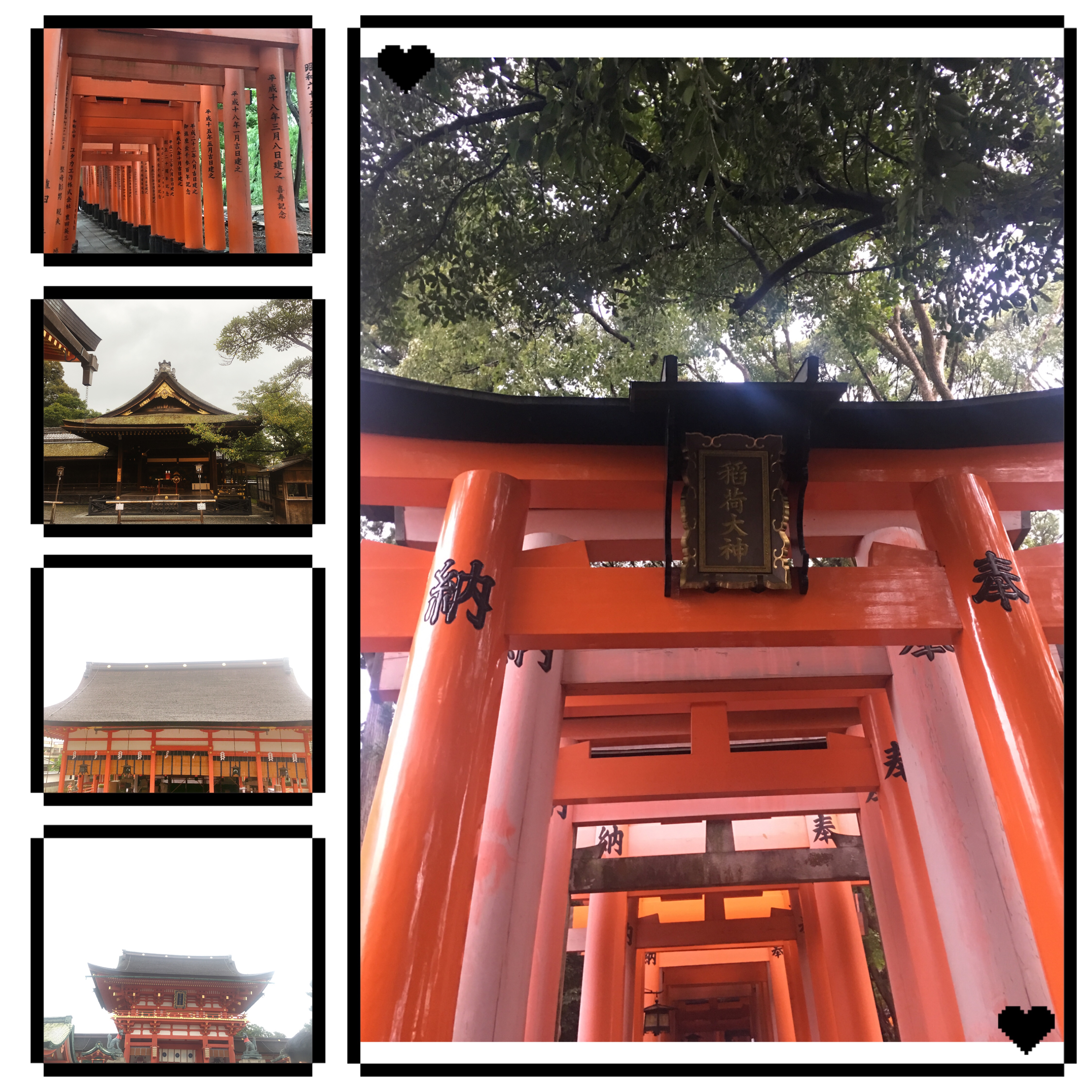 京都之旅探寻古都的魅力与美景,日本旅游东京京都霓虹初见