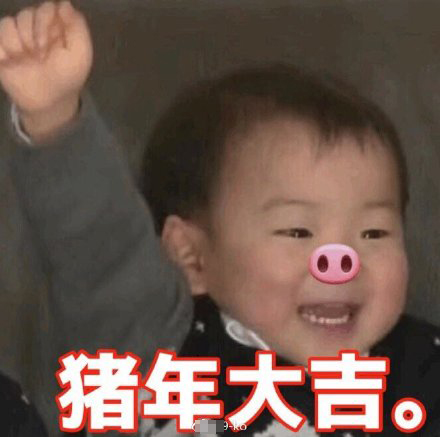 猪年拜年表情包大全,猪年表情包可爱