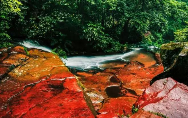 醉美遵义,醉美新遵义