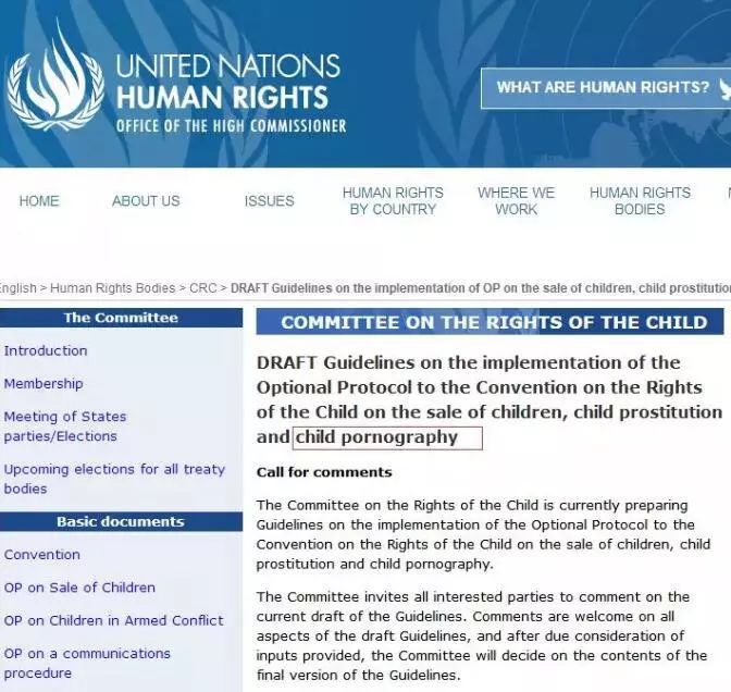 日本同人展出现问题,外国人想买却不敢买,带回国甚至会违法