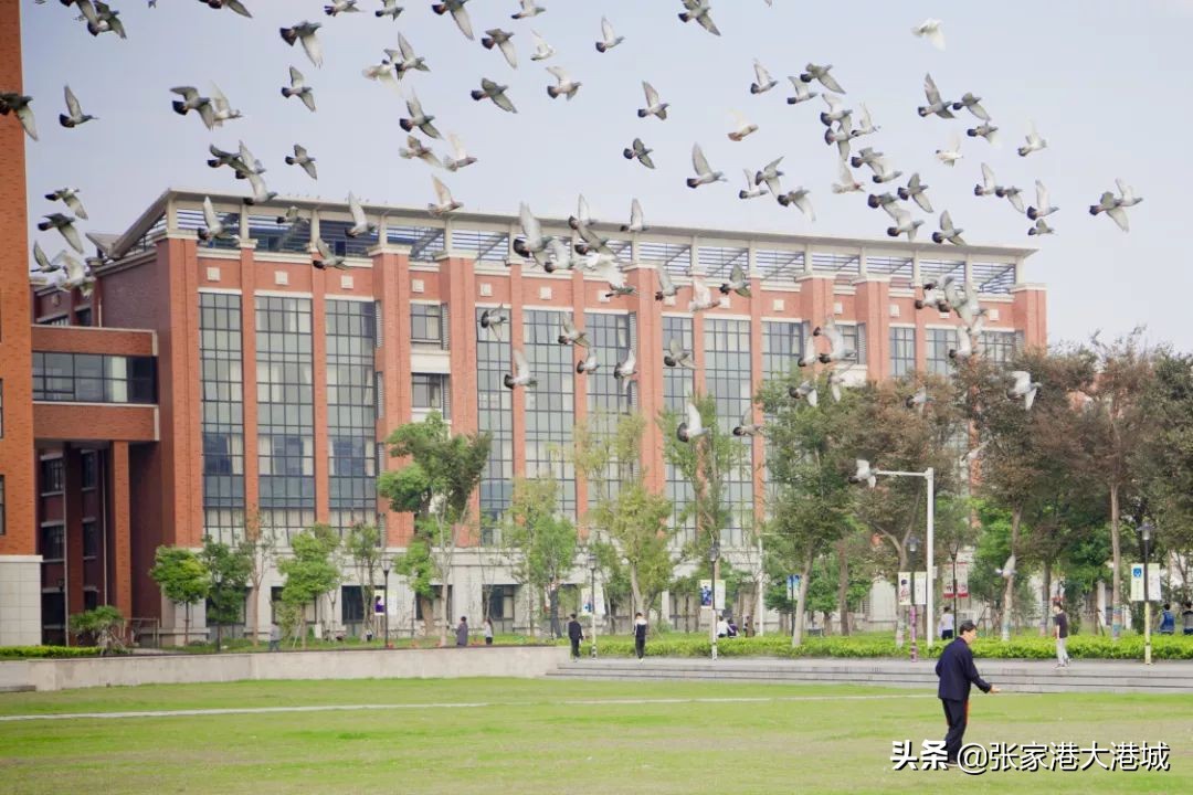 大学绝美秋景,最美的秋色美景