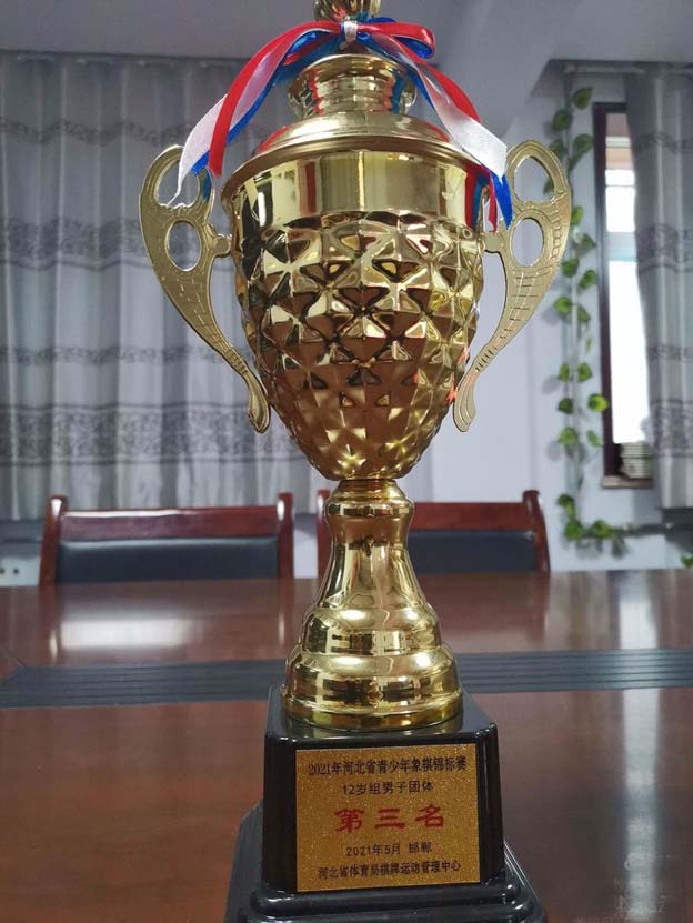 邯郸市黎明村小学怎么样,邯郸黎明小学简介