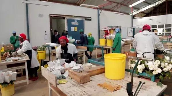 bbc中国探秘纪录片,bbc探秘印尼爪哇古洞