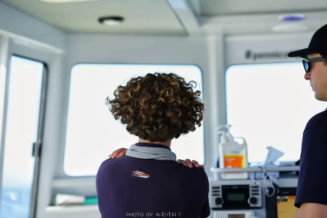 去哪里旅游可以看南极企鹅,旅游攻略南极看企鹅