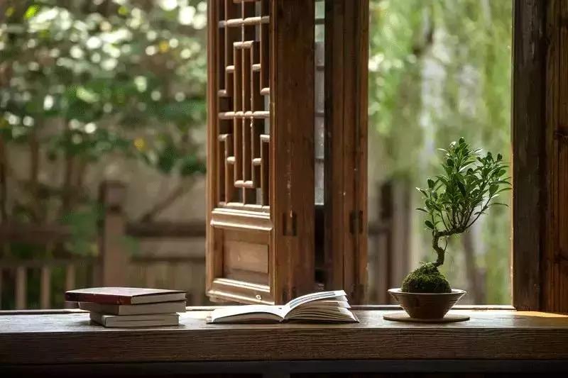 看腻了性冷淡的极简风,清冷系和性冷淡风