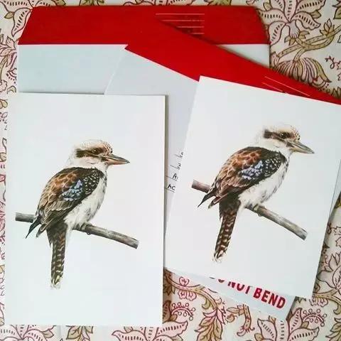 画鸟彩铅教程,画鸟彩铅