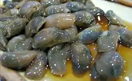 舟山禁渔期可以吃什么海鲜,禁渔期海鲜且吃且珍惜