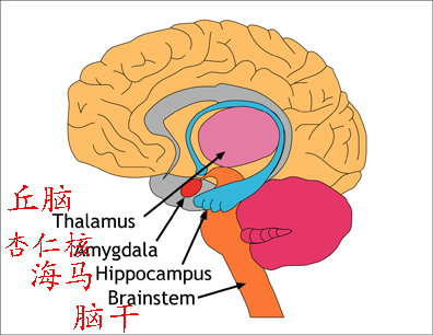 恐鸡症是精神疾病吗,恐鸡症可以治愈么