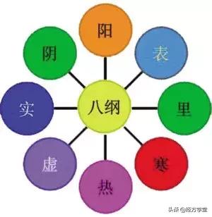 把脉纸上学，得来终觉浅！