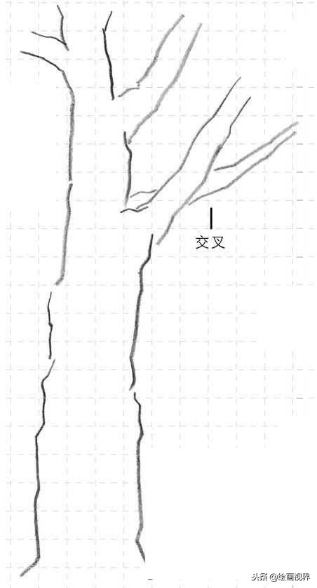 钢笔画入门教程花鸟,钢笔画入门基础教程人物