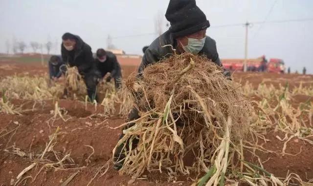 这场疫情给每个人什么启示呢 (这场疫情告诉大家的道理)