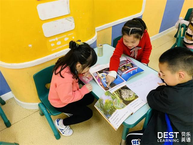 贝乐虎英语启蒙全集,贝乐儿童英语培训