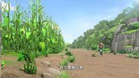 纳斯卡线条解密,纳斯卡线条大揭秘