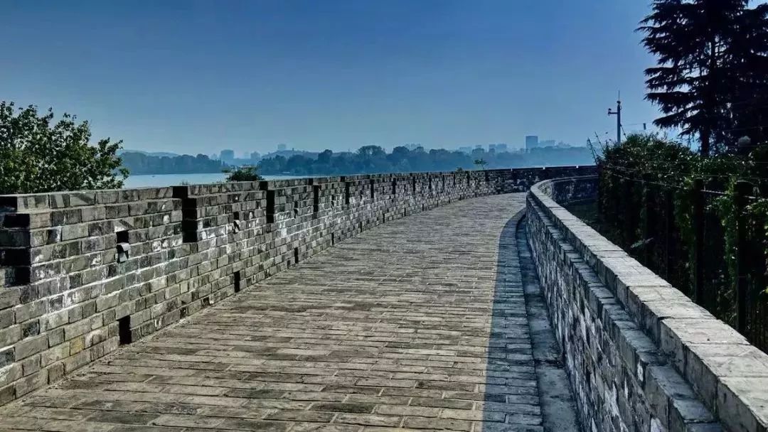 南京这些免费公园，让你任性玩个遍